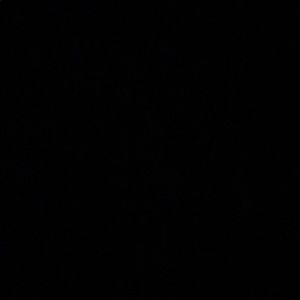 Meet your Posher, Madysen